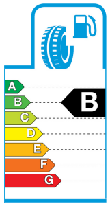 Tyre label example